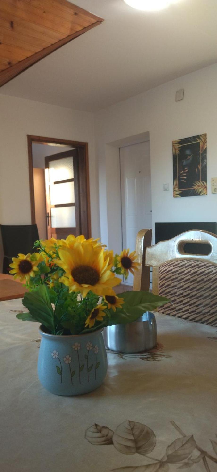 Vila Lenka Sokobanja Habitación foto