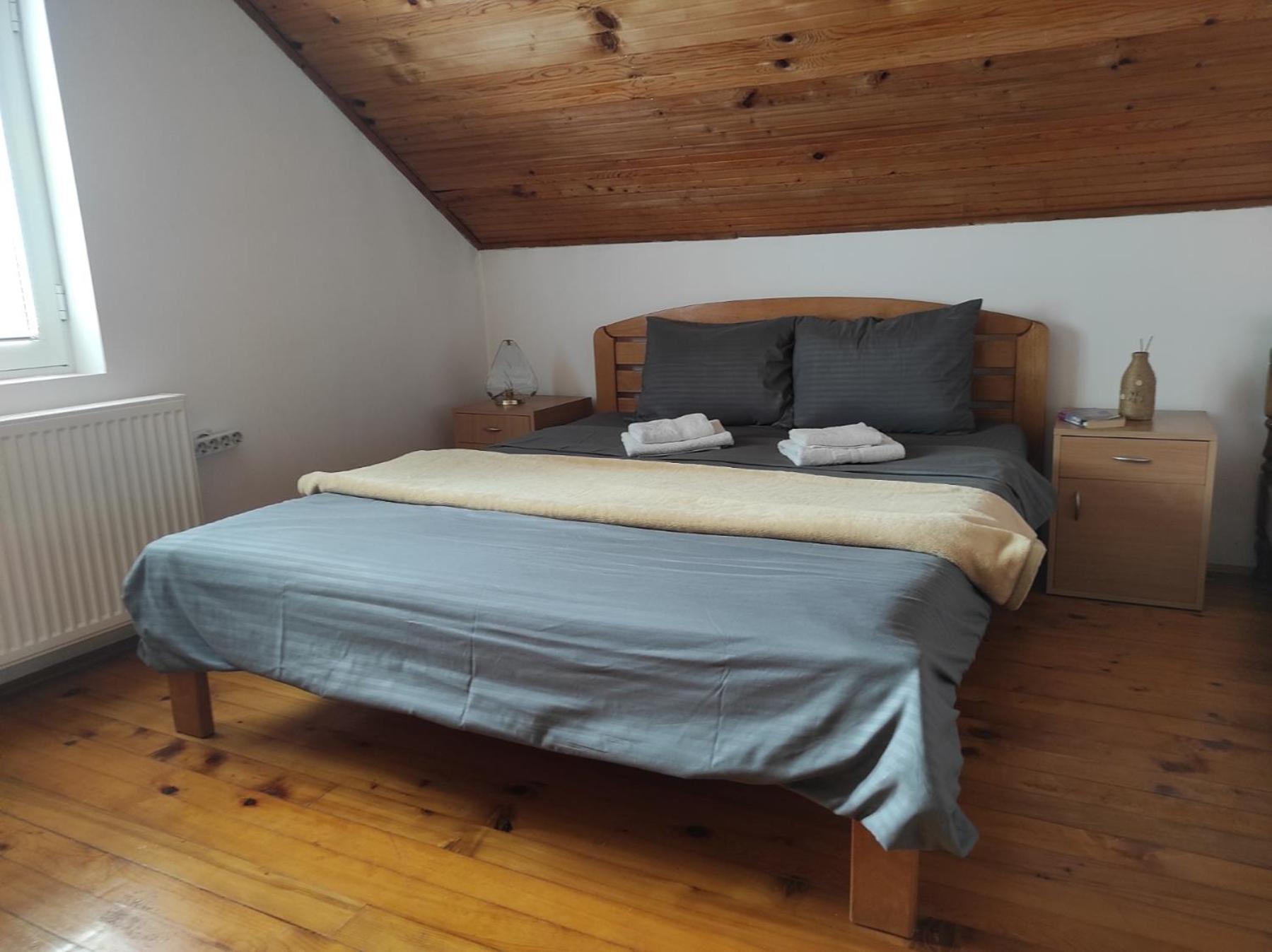 Vila Lenka Sokobanja Habitación foto