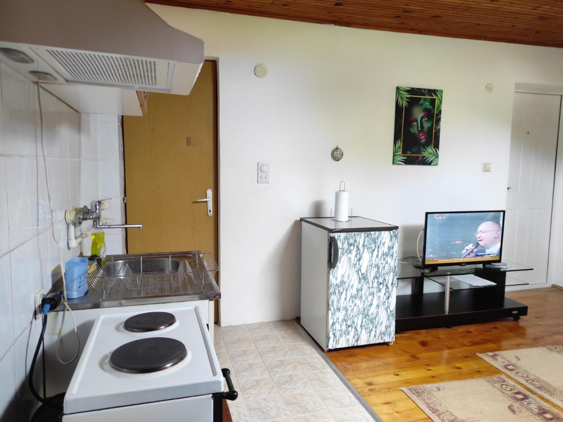 Vila Lenka Sokobanja Habitación foto